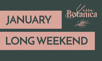 January Long Weekend at Yarra Botanica